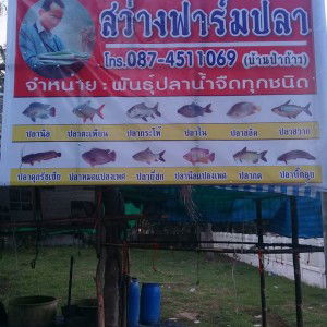 สว่าง ฟาร์ม profile icon