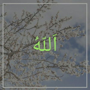 Meggi Mariesta profile icon