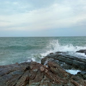 Mesto S. Wae profile icon