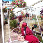 Nurul Hidayah profile icon