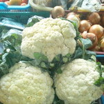 Zenal Aripin profile icon