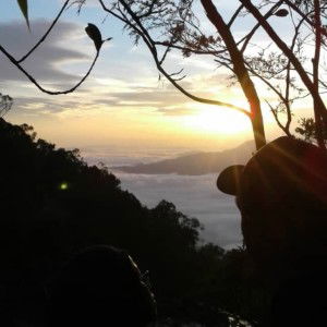 Nollil La profile icon