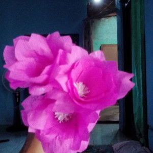 Auoerie Santiey profile icon