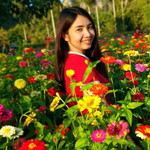 Pueng Pueng Wichitraa profile icon