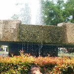 Lielies Caeyank Sueroesho profile icon