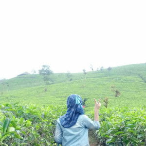 Dini Wulansari profile icon