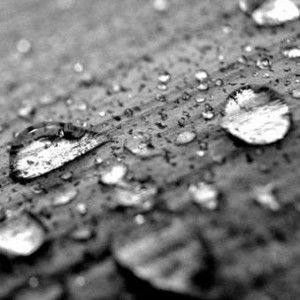 Redviolet Violet profile icon