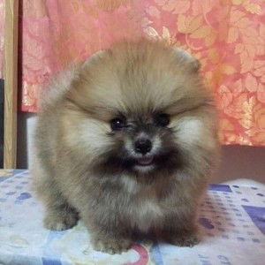 ดี ต่อ ใจ profile icon