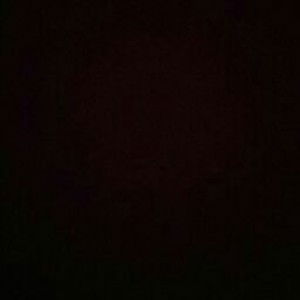 Ganevi Mulatsari Tembong profile icon