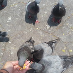 Elizabeth Bonita profile icon