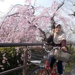 Cihe Aprilia Bintang profile icon