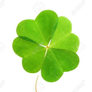 nurul ain profile icon