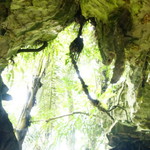 pena petualang profile icon