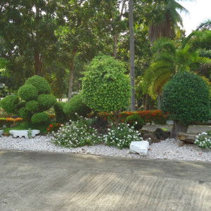 new momshie profile icon