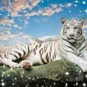 Rubinur Afni profile icon