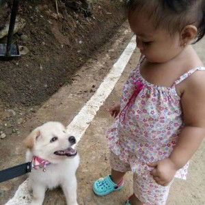 Clang Morco profile icon