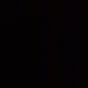 Palad Zhaive profile icon