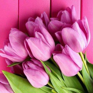 Ummu Ummu profile icon