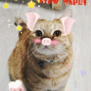 Carenaa Puttan profile icon