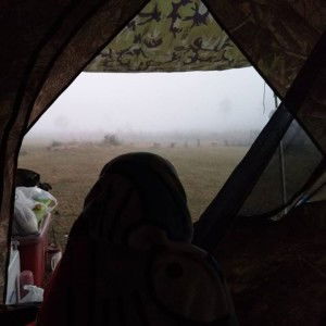 Napapat Thamprasert profile icon