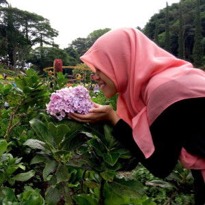 erni yunista profile icon