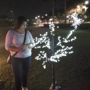 Geraldine C. Dasalla profile icon