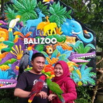 Caniella profile icon