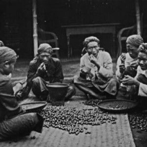 Filosofi hidup profile icon