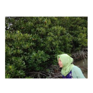 Fitriah Phietieq profile icon