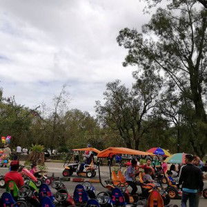 Mary Grace I.Marino profile icon