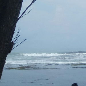 dedekgia 13 profile icon