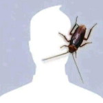 Sherbet Mstar profile icon