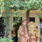 Intan Van Der Wijck profile icon