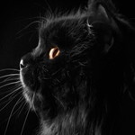 salma amira profile icon