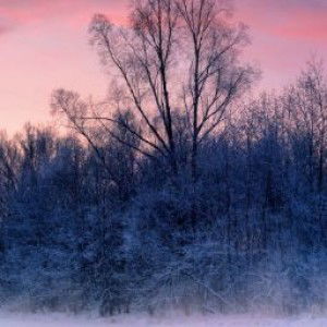 Shaidda Legaspi profile icon