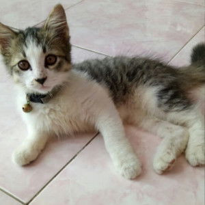 Wina Mutz profile icon