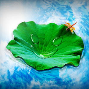 num num profile icon