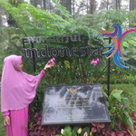 Nadya Septiani profile icon