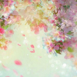 Viie Evi profile icon