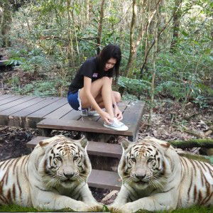 กุหลาบ สีแดง profile icon