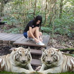 กุหลาบ สีแดง profile icon