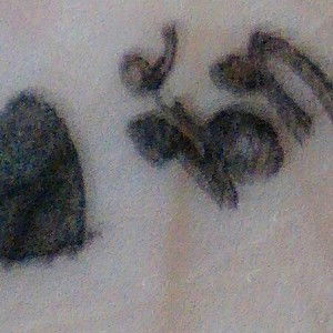 chanida lakepay profile icon