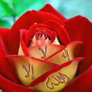 Nita Bon Boud profile icon