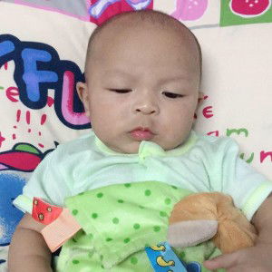 Koy P Niparat profile icon