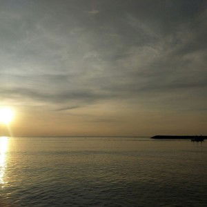 สุธิดา นวนเขียว profile icon