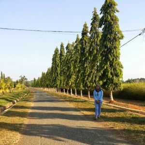 Irma Yunita profile icon