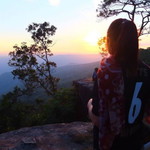 Kung Nitcha profile icon