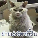 Ketsarin KT Tabin profile icon