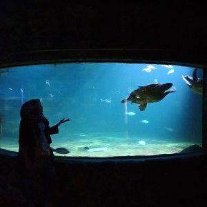 Syifa Yusnika profile icon