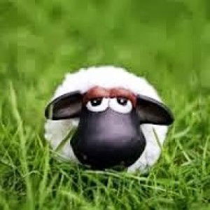 jip panomporn profile icon